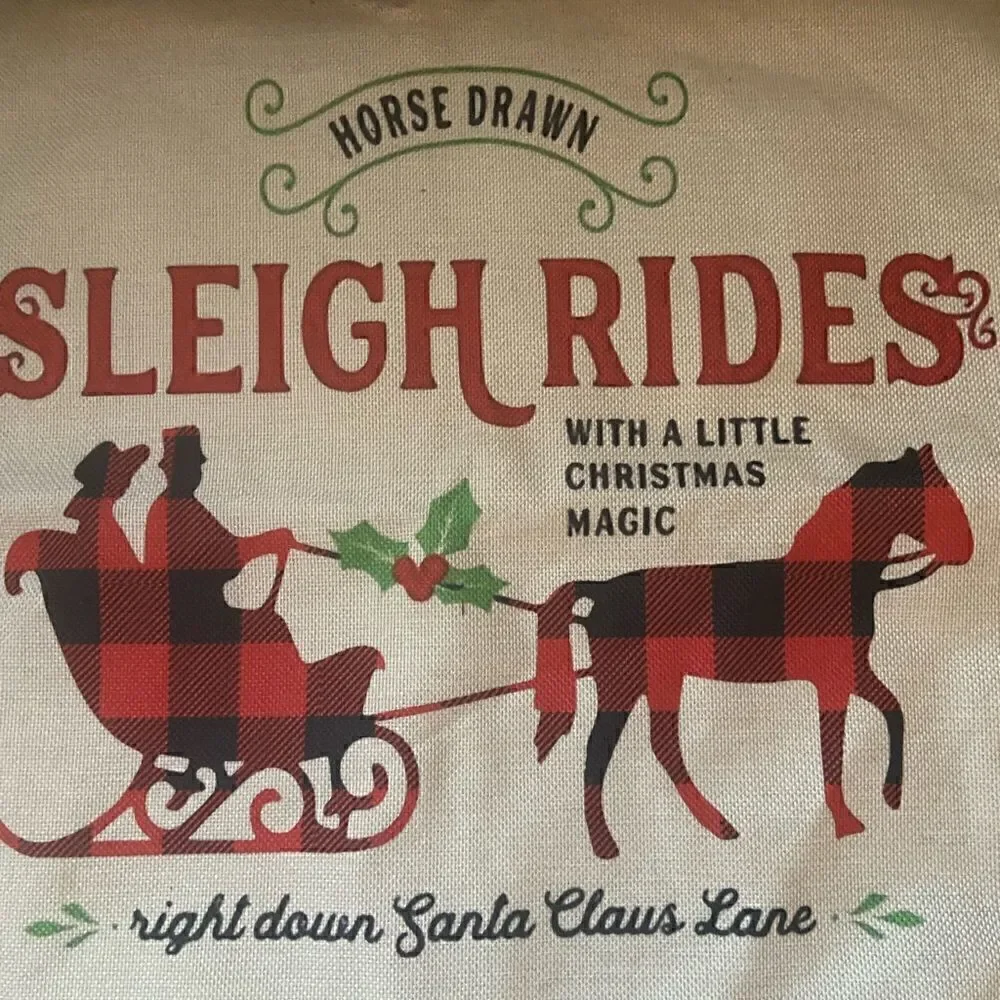 Set of 2 Christmas Pillow Covers Sleigh Rides and Merry & Bright Truck 17x17”